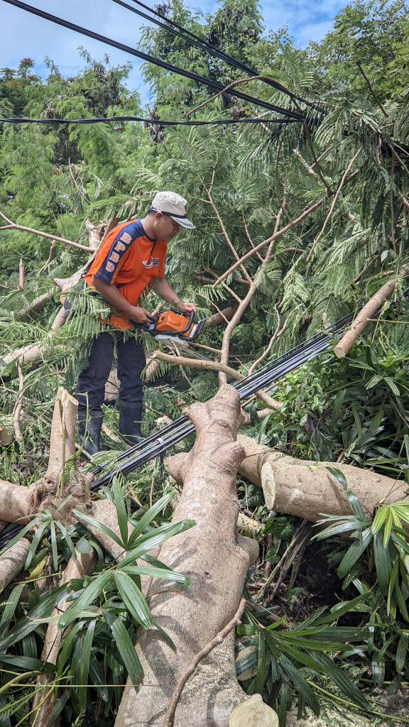 Pohon Tumbang di Banjar Teba, Kelurahan Jimbaran, Kecamatan Kuta Selatan Tanggal 29 Januari 2023